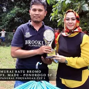 testi-fx-made